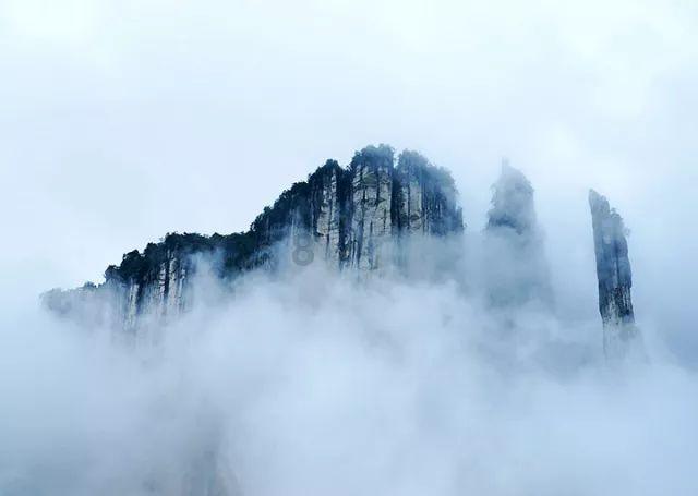 中影协十一次全代会闭幕，周迅等4位浙江代表当选理事