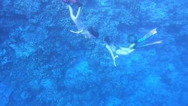 和班里同学相处不好，还被班主任分在了一块，怎么给班主任说把我们位置调开？游戏画面