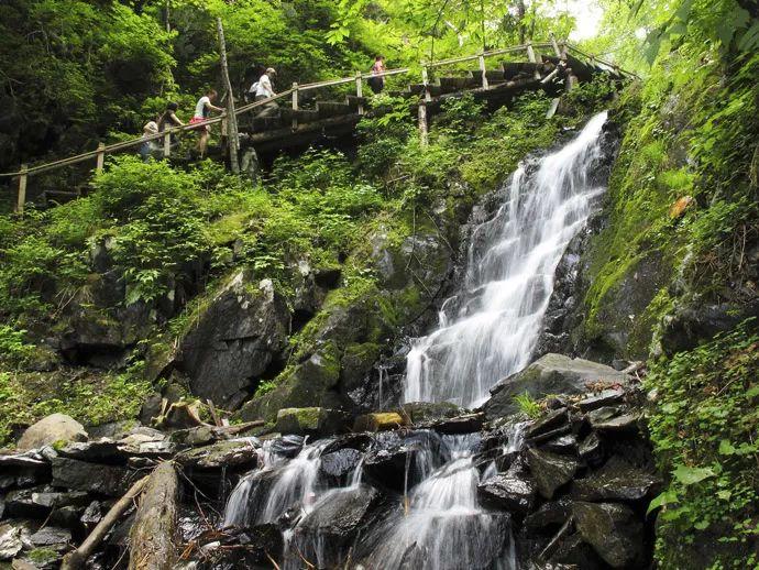 哈尔滨旅游“火出圈”后,税务部门帮餐厅解决用工短缺,帮游客协调居家民宿